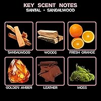 Vista 147 de LOVSPA Aceite Difusor Ocean Driftwood - Aceites Esenciales de Lujo para Recarga de Difusor y Ambientador en Aerosol para Habitaciones - Fragancia