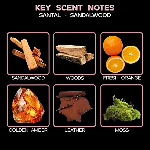 Miniatura 9 de LOVSPA Santal - Repuesto de aceite difusor de varillas de sándalo con varillas de aroma de repuesto, un aroma cálido, terroso y amaderado, 4 onzas,