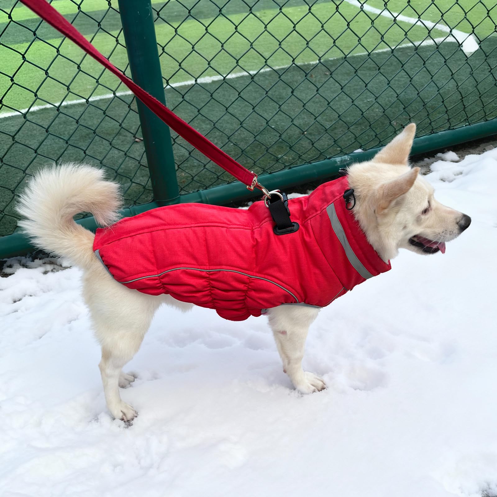 Malier Abrigo de invierno para perro (rojo, mediano)