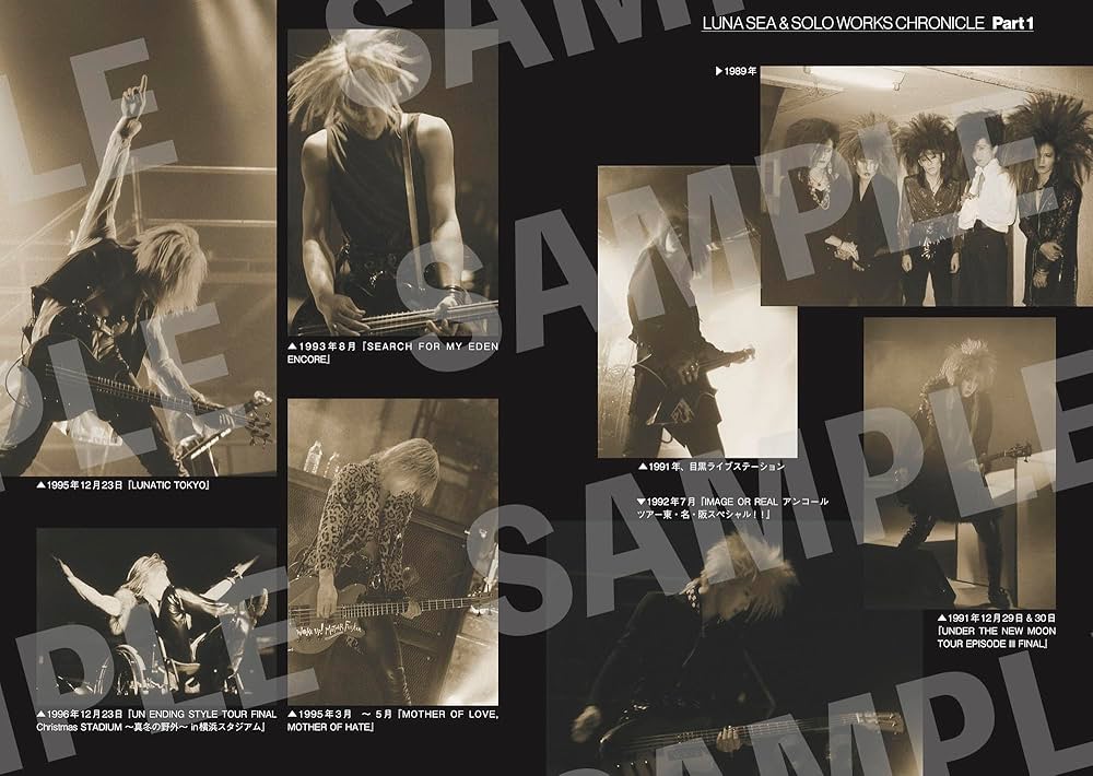 ルナシー　J 自伝 LUNA SEA J 自伝 - メルカリ