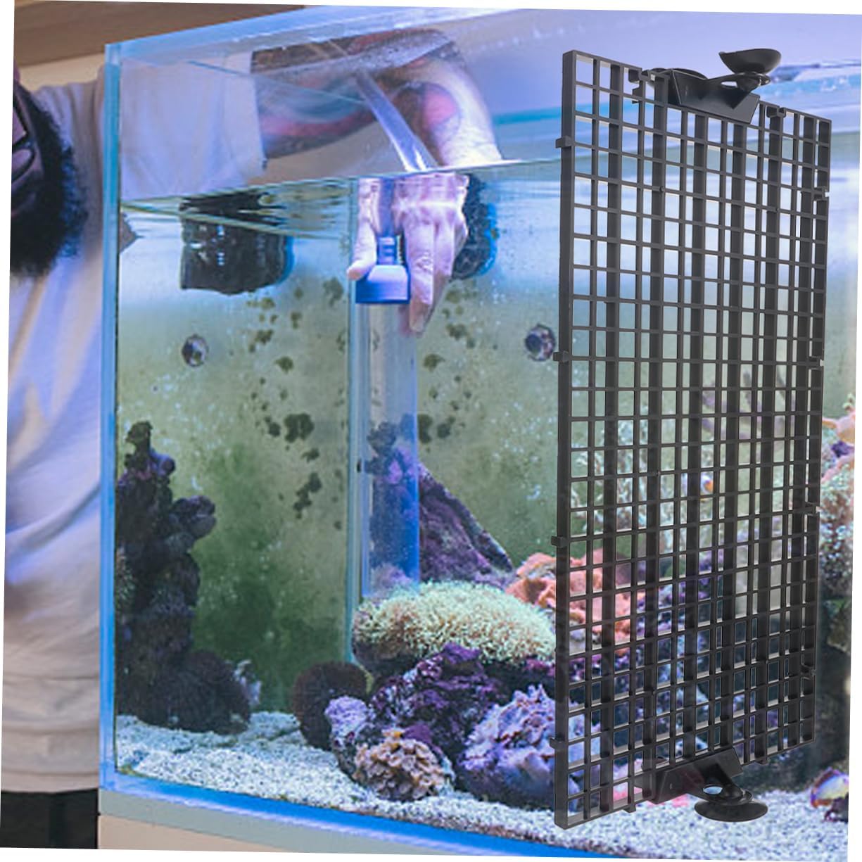 BESPORTBLE 1set Aquarium Divider Isolation Board Transparent Panels Cups for Fish Tank Separation Promotes Peaceful Environment Easy to Install Fits All