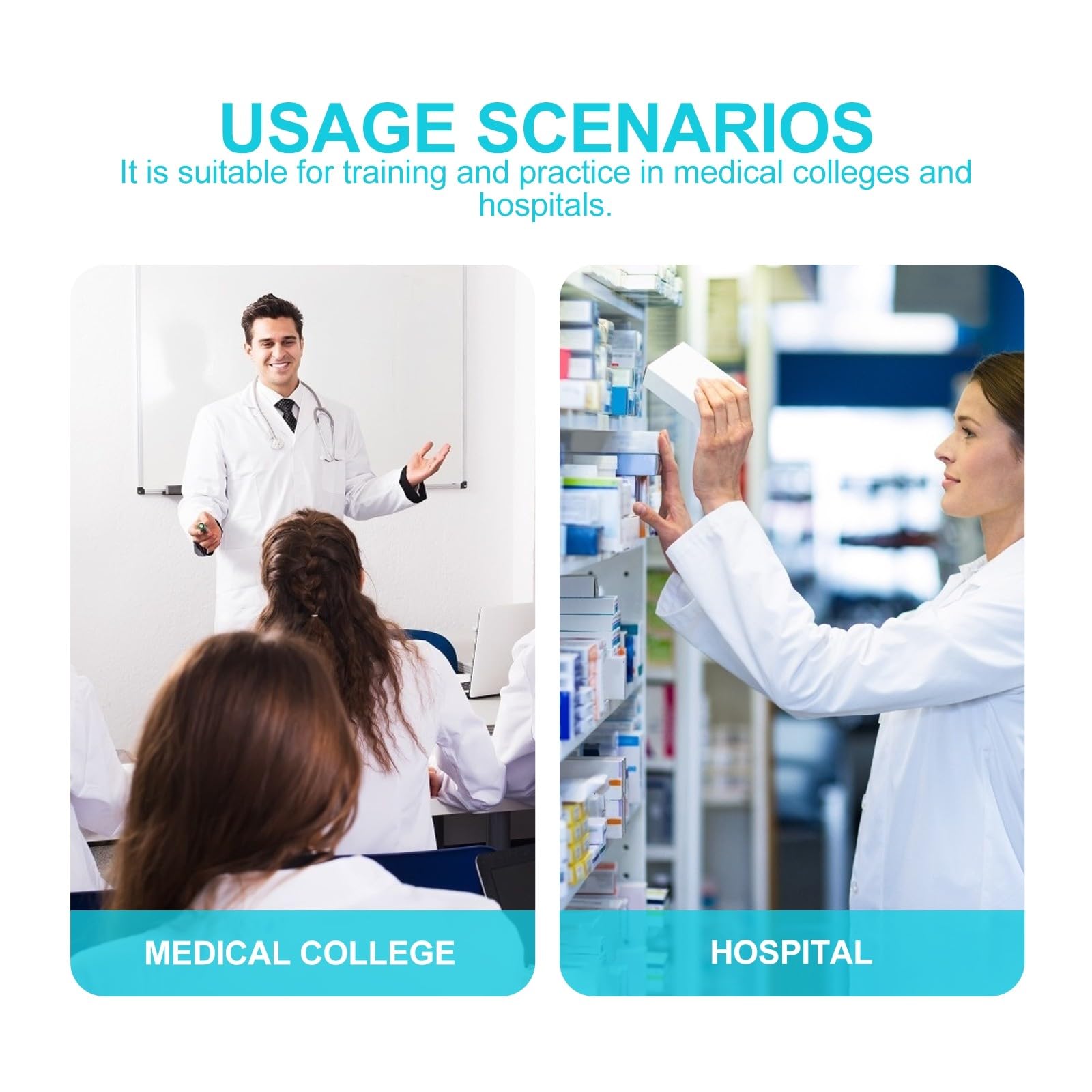MAGICLULU Modelo de Vaso Sanguíneo Didáctico Simulación de Daño por Lipoproteínas de Baja Densidad, Material Duradero para Enseñanza y Prácticas Médicas