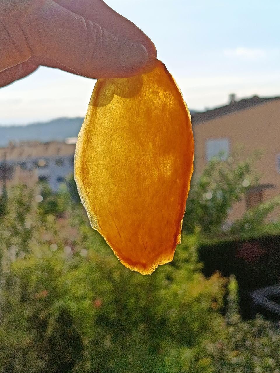Mezcla de frutas deshidratados 200 GR sin azucar y sin sulfitos, puro y natural