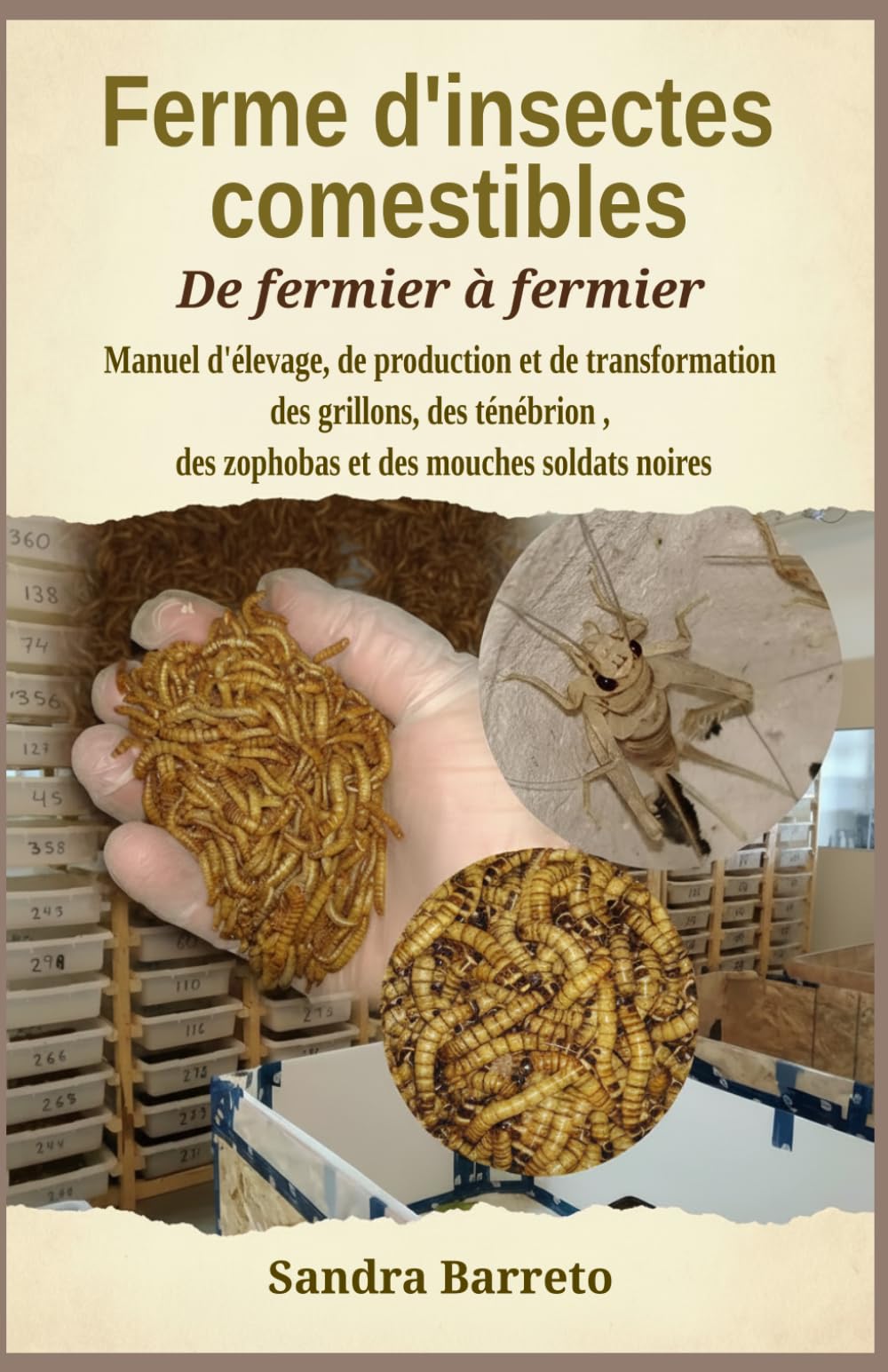 Ferme d'insectes comestibles: Manuel d'élevage, de production et de transformation des grillons, des ténébrion , des zophobas et des mouches soldats noires