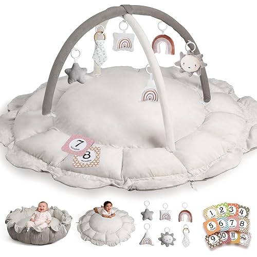 HAM-MM 5-in-1 Convertible Baby Play Gym with 6 Toys, Tummy Time Mat for Sensory Development, Baby Activity Center from Newborn to Toddler, Ball Pit, Cat & Dog Bed, Soft Plush Pet Bed, No Ball Included