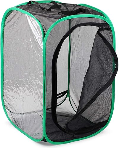 Miniatura 11 de RESTCLOUD - Jaula de hábitat para insectos y mariposas, 23.6 pulgadas de alto Blanco con verde