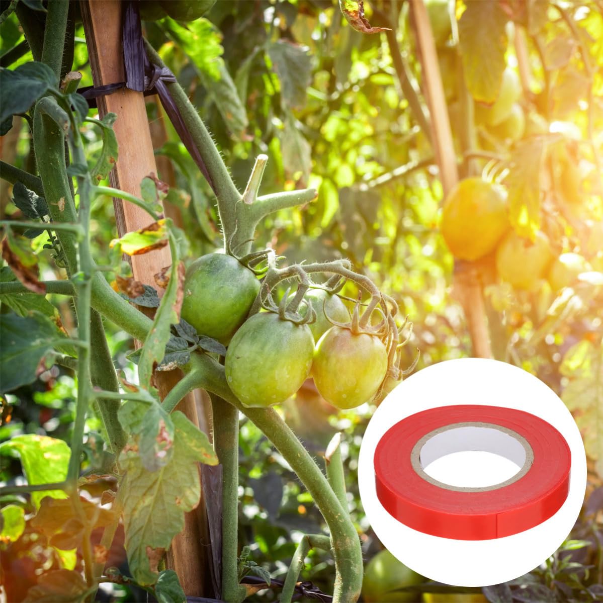 CHILDWEET Nastro Adesivo per Legare Piante 10 Pezzi in PVC Rosso per Pomodori e Peperoni, Riutilizzabile Senza Nodi, per Giardino e Piante da Interno