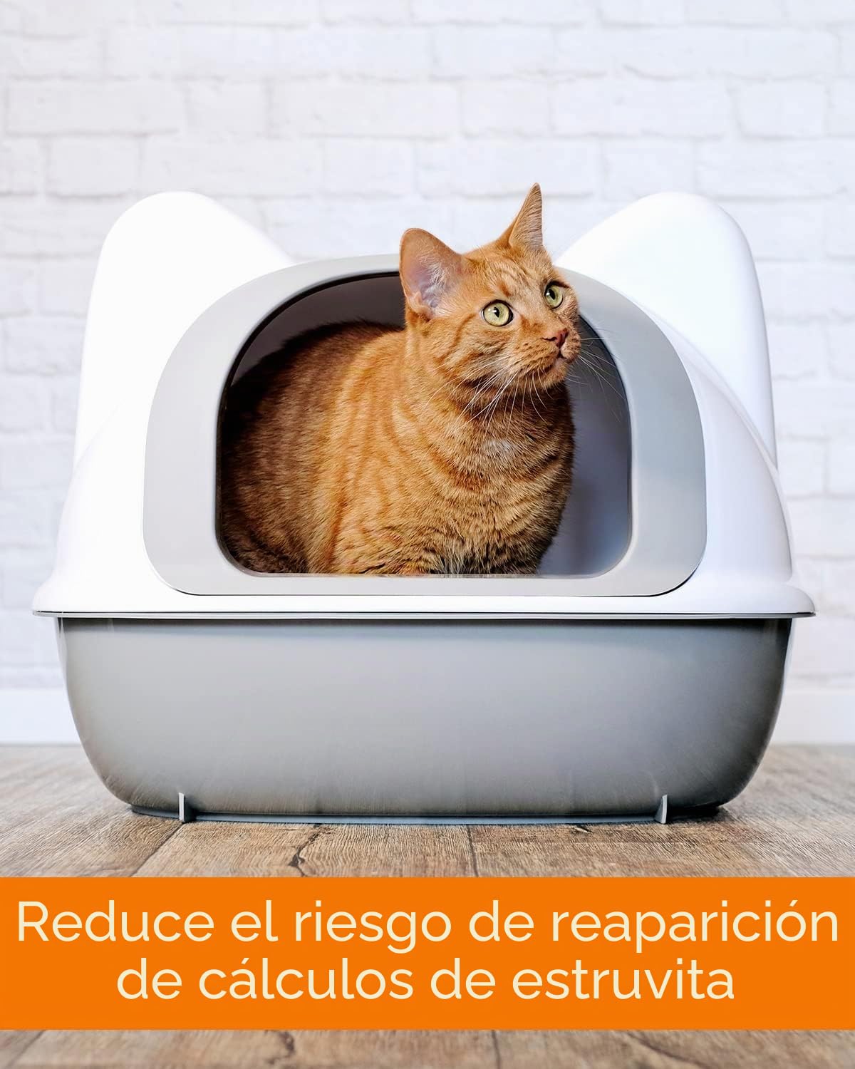 Vetoquinol URO-Pet Pasta | Paquete Triple | 3 x 120 g | Suplemento alimenticio para Perros y Gatos | para apoyar la Salud del tracto urinario | con el aminoácido DL-metionina