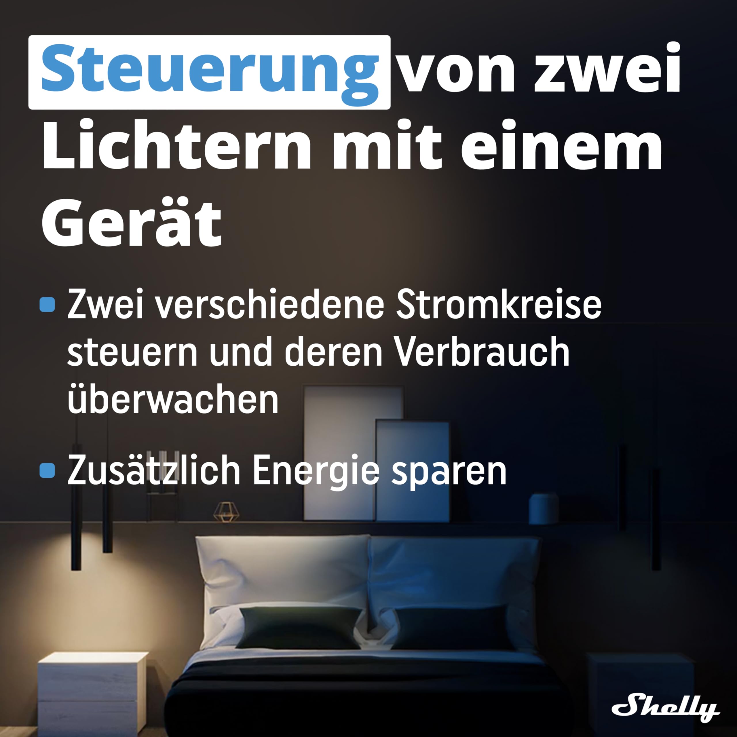 Shelly Plus 2PM | Wlan 2 Kanäle Smart Relais Schalter | Rolladenschalter mit Stromverbrauchsmessung | Hausautomation | Google Home Alexa Zubehör | iOS Android App (2 Pack)
