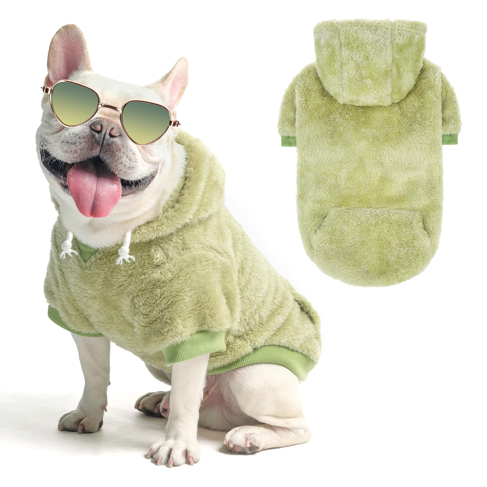 Sweat à capuche pour chien idéal pour les promenades en forêt
