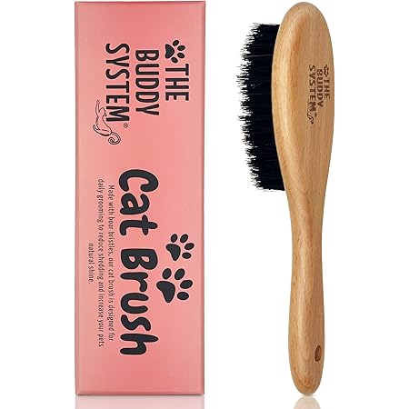 cat bristle brush