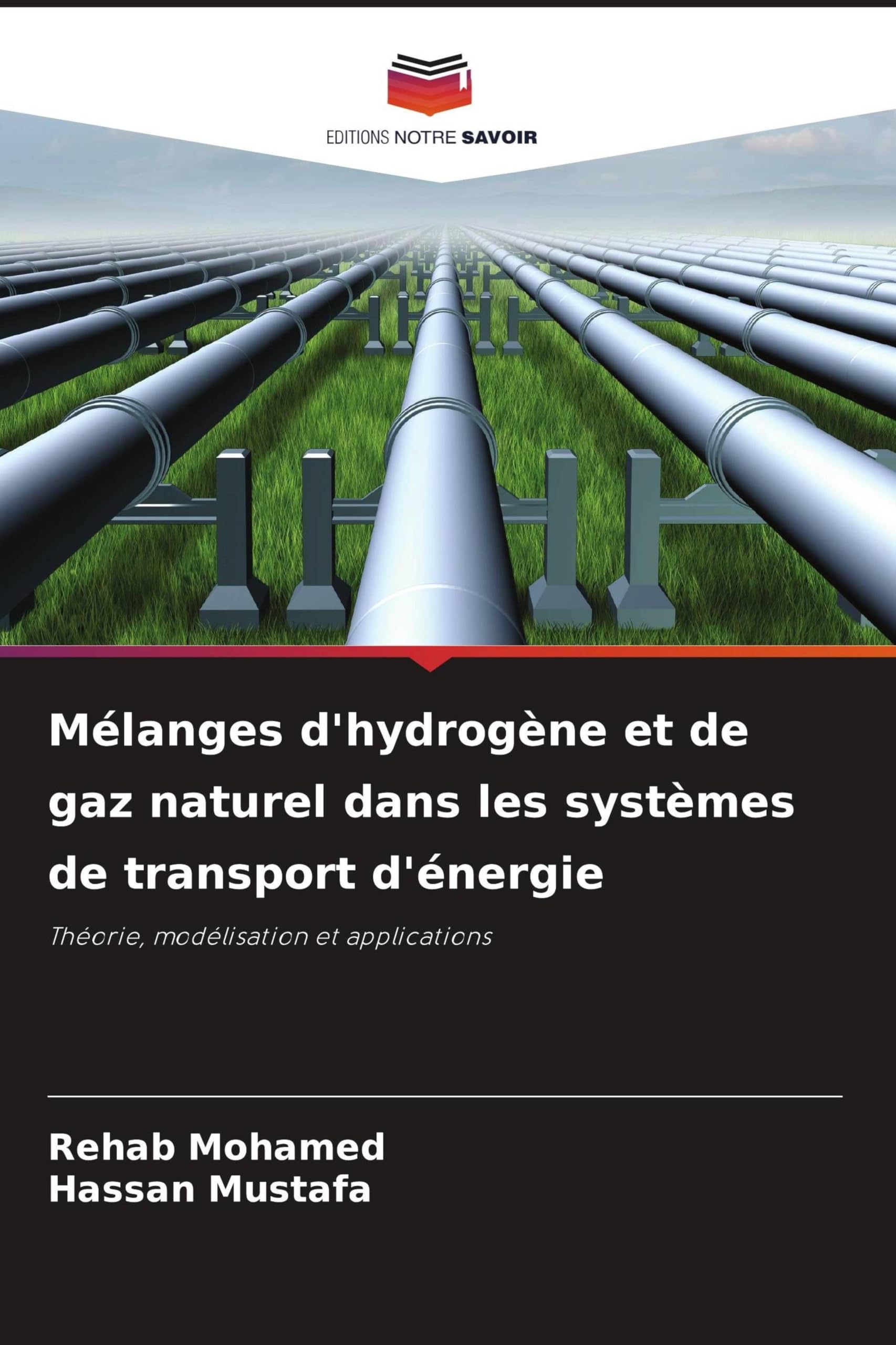 Mélanges d'hydrogène et de gaz naturel dans les systèmes de transport d'énergie: Théorie, modélisation et applications