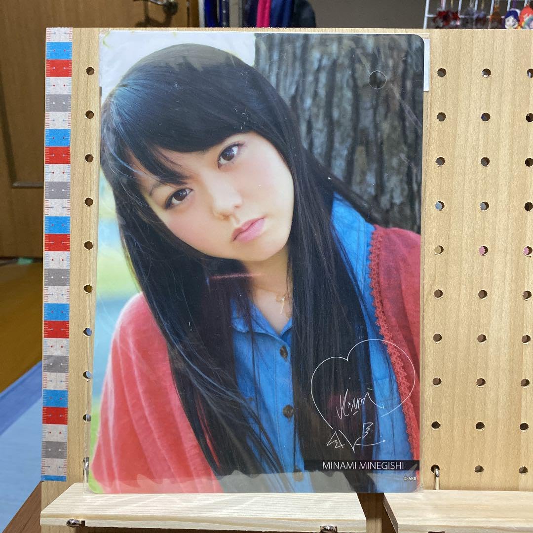 Amazon.co.jp: 峯岸みなみ 下敷き 69 : Toys & Games