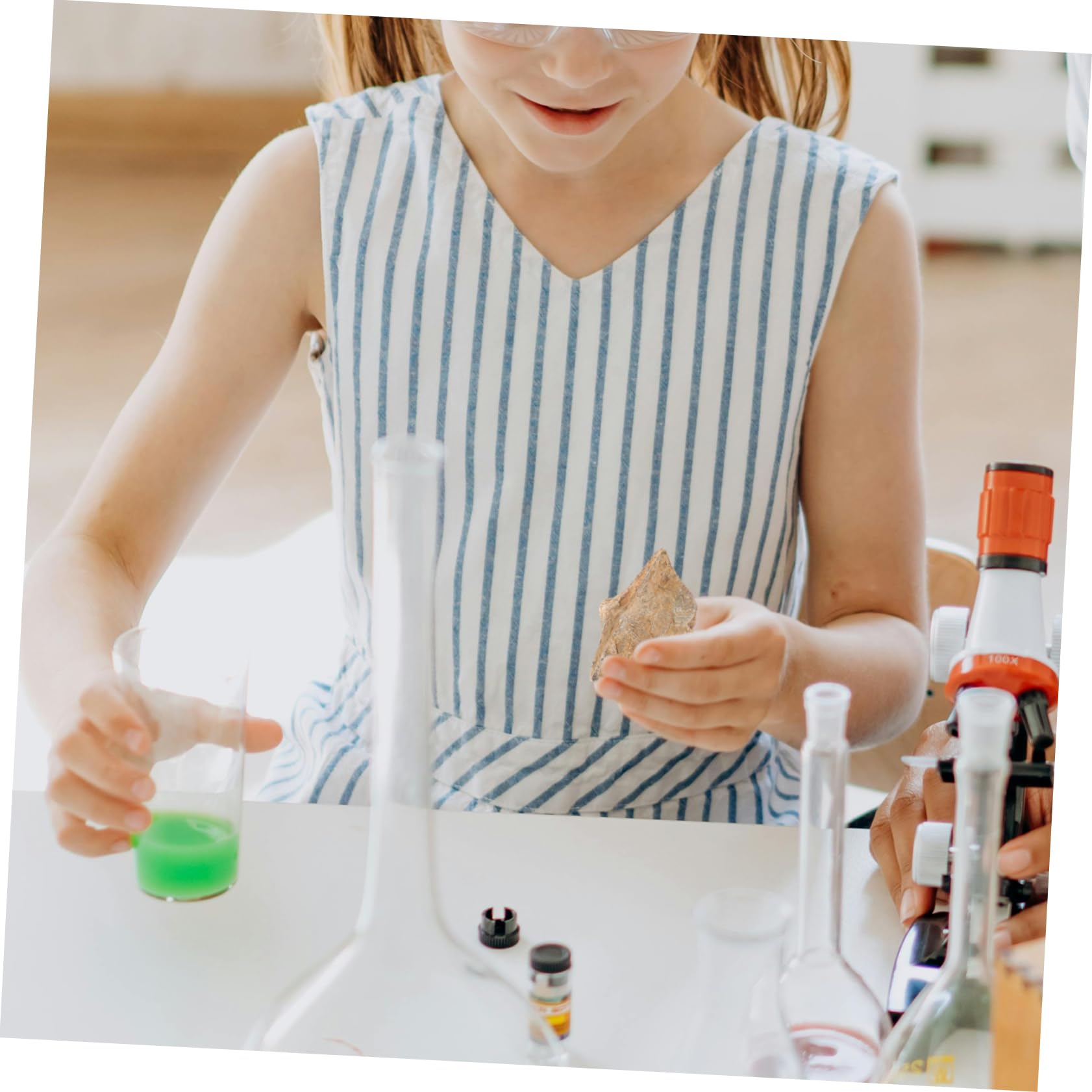 CIYODO 2pcs Stone Swallow Specimen Sea Shell Specimen Adornment Shell Specimen Decoration Natural Seashell Educational Spirifer Adornment Conch Specimen Natural Shell Specimen