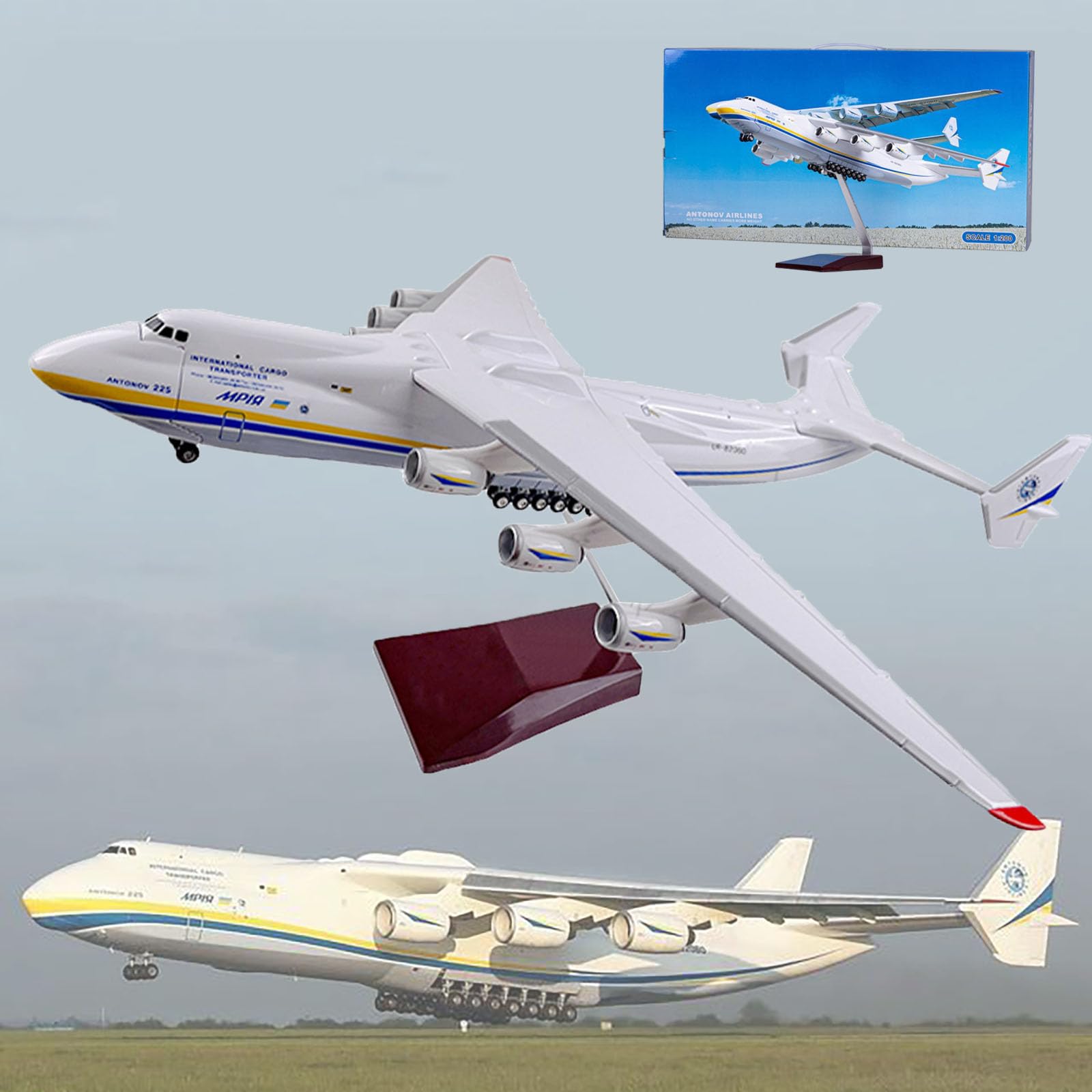 Amazon | 16.5インチ 1:200スケール アントノフ AN-225 モデル