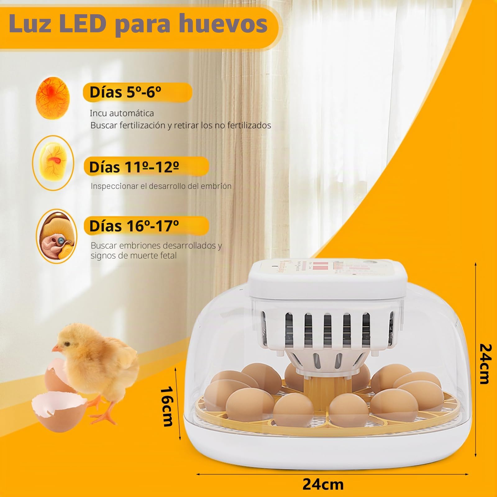 Incubadora de 12 huevos totalmente automática, con rotación automática de huevos, control de temperatura y humedad, adecuado para pollos, patos, gansos, codornices