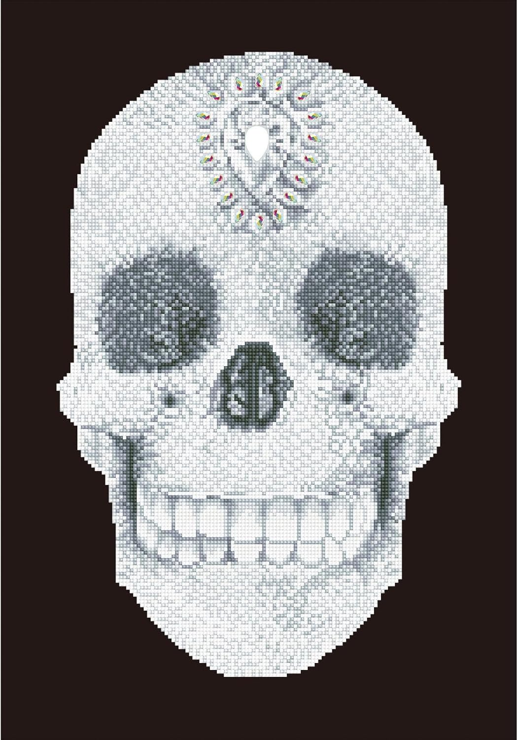 DIAMOND DOTZ Crystal Skull Diamond Painting Kits for Adults - Diamond Art Kits a Relaxing Creative Craft Kit with Dotz Gems 24x16
