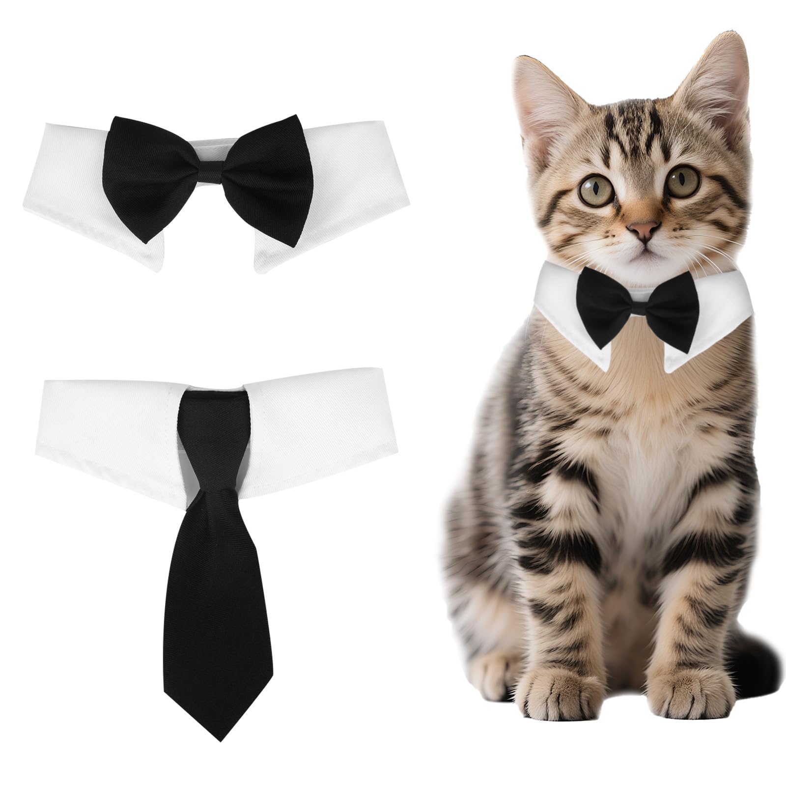Collier smoking pour chat et petit chien nœud papillon de toilettage 27-33 cm