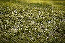 Review Image by Kimberly Kimberly