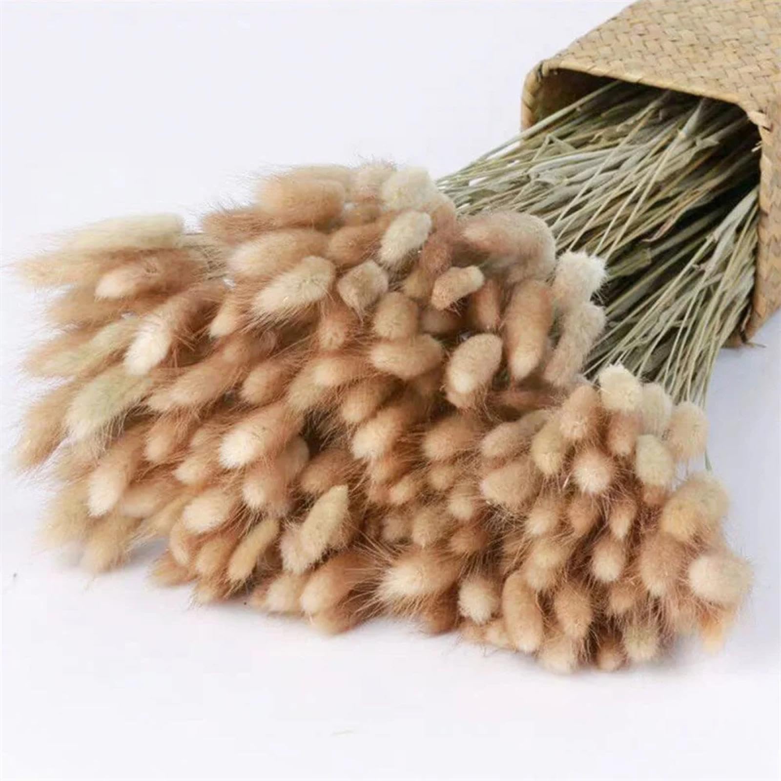 Flores secas de cola de conejo,120 piezas de 45 cm de hierba de pampa seca blanca, colas de conejo, flores secas para decoración de interiores, decoración bohemia de la boda del hogar marrón