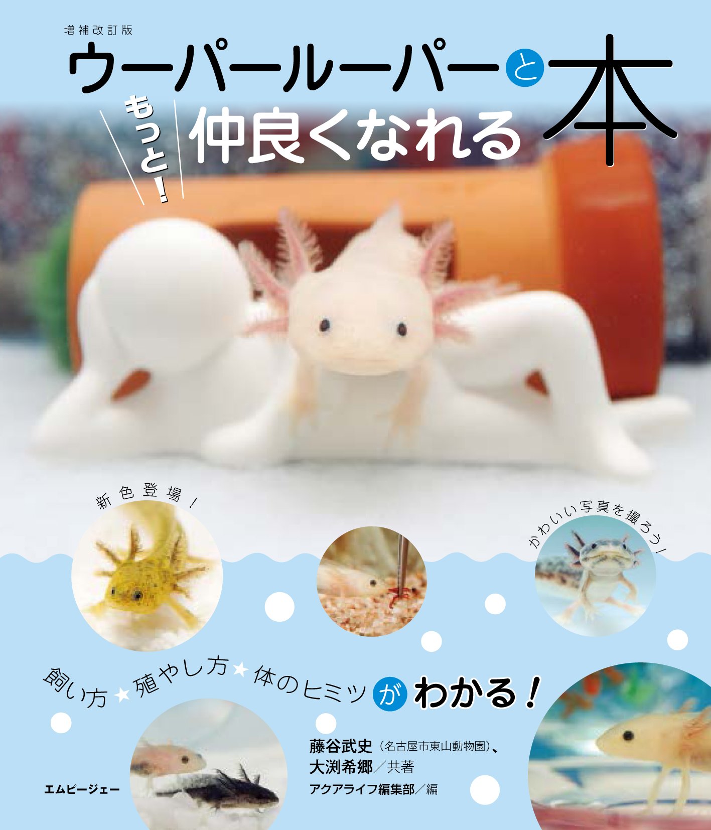 ウーパールーパーと もっと 仲良くなれる本 アクアライフの本 藤谷 武史 大渕 希郷 アクアライフ編集部 配送料無料