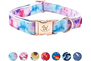 Fashion Pet: The Dog Collar That Puts the Pep in Your Pup's Step