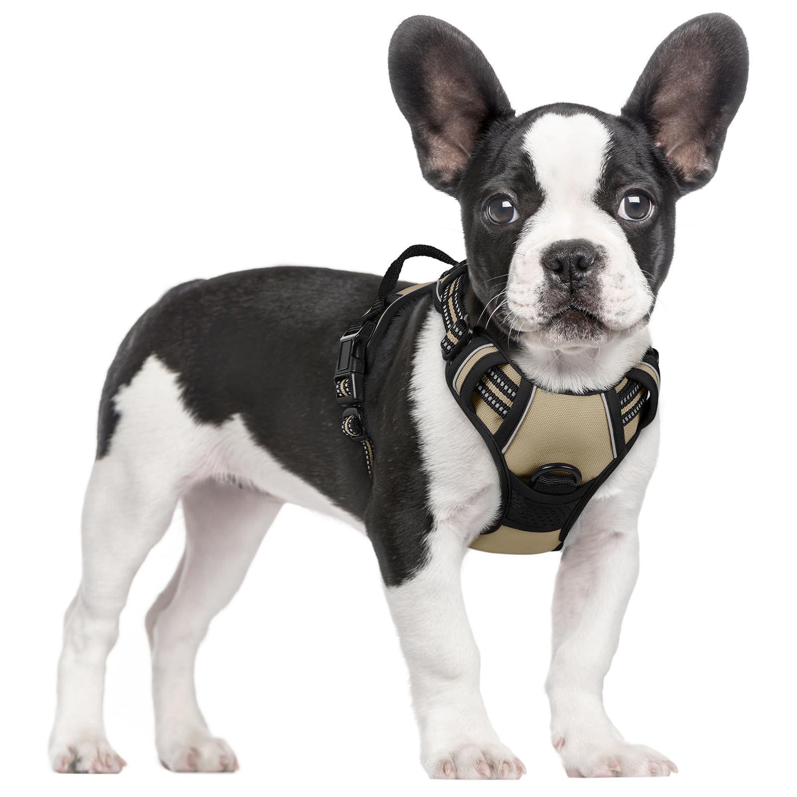 rabbitgoo Hundegeschirr Mittelgroße Hunde, Anti Zug Geschirr mit Kontrolle, No Pull Verstellbar Hundegeschirr Grosse Hunde, Atmungsaktiv Reflexstreifen Brustgeschirr Sichere