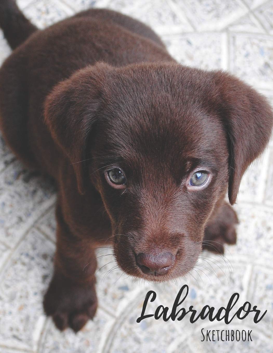 Labrador Sketchbook: 200 pages, 8.5 x 11 in - Sketchbook, Blank Paper for Drawing, Doodling or Sketching - Great Accessories & Gift Idea for Labrador ... List, Dog Mom Gifts or Present for Dog Love