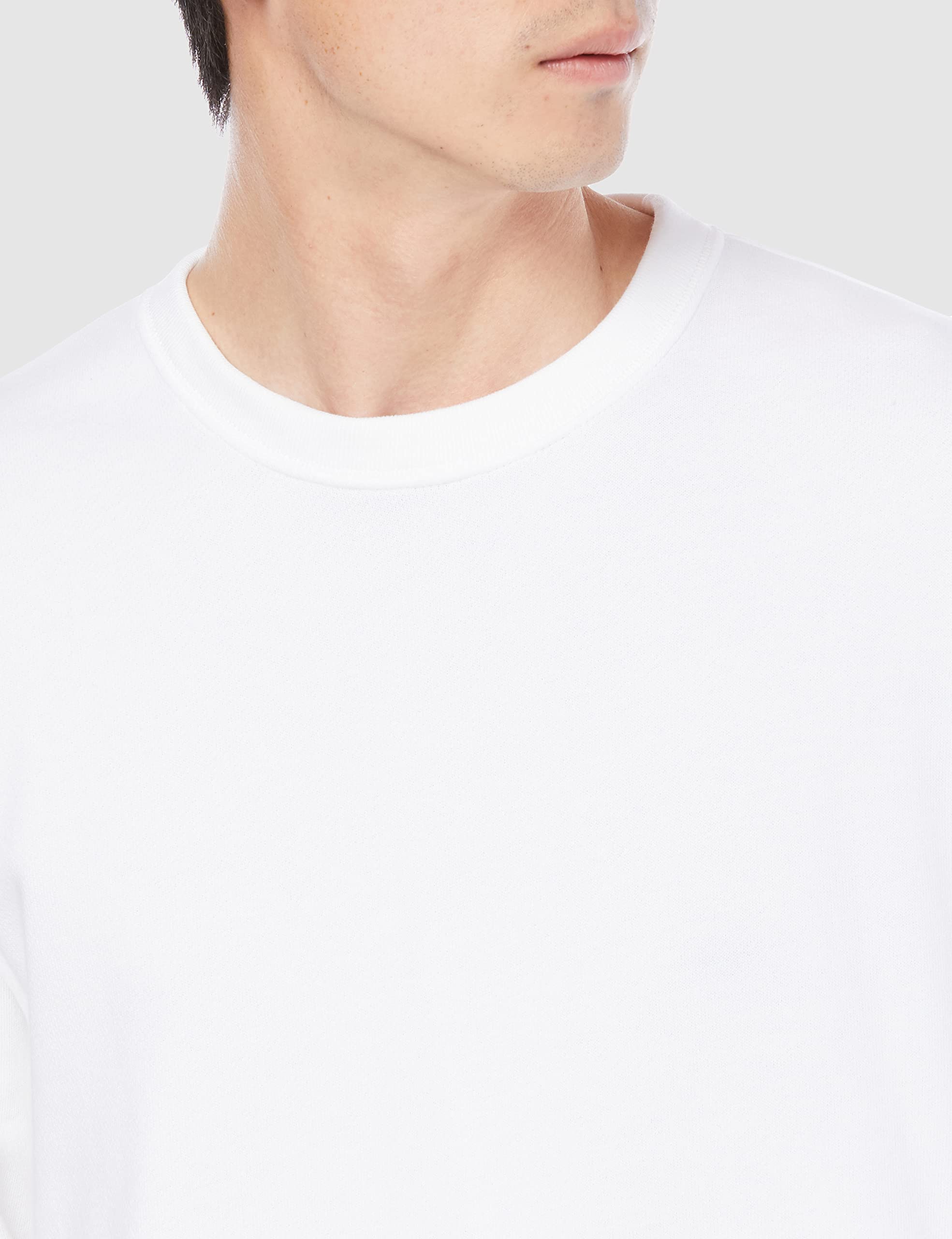 [プリントスター] スウェット 8.4オンス 裏毛 クルーネック ライト トレーナー 00219-MLC メンズ ブラウン - 3