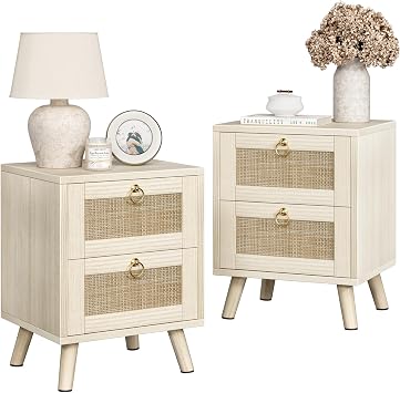 BOLUO Wood Night Stand Set 2, Small Nightstand with 2 Drawers Boho Nightstands Wooden Rattan Bedside Table for Bedroom Beige