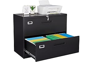 Letaya 2 Drawer Legal Size File Cabinet: Ultimate Storage for Your Documents