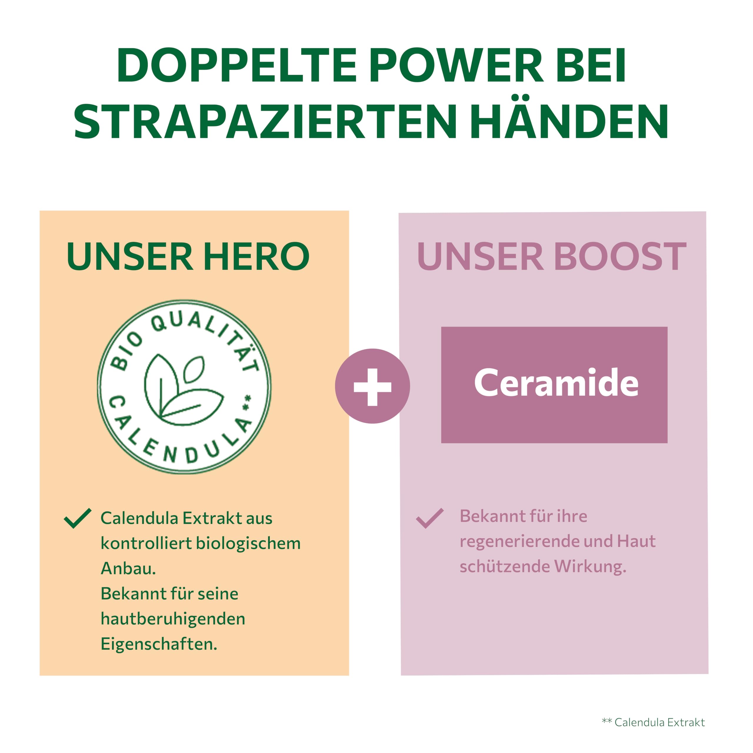 alkmene Concentrato rigenerante per mani stressate, 6 x 75 ml | Crema per le mani con calendula per mani molto secche e screpolate, vegana, per uomini e donne, cura delle mani