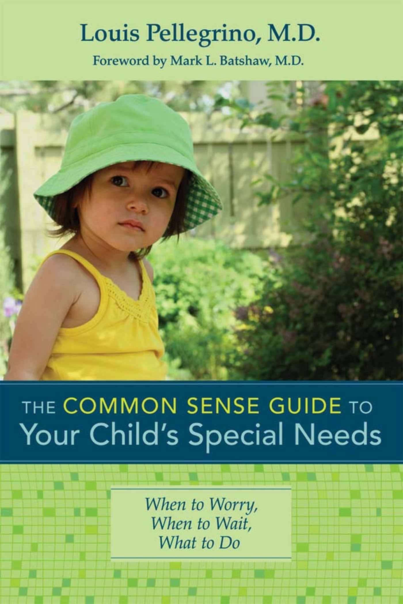 Buy The Common Sense Guide to Your Child's Special Needs: When to Worry, When to Wait, What to Do — BookShops.in