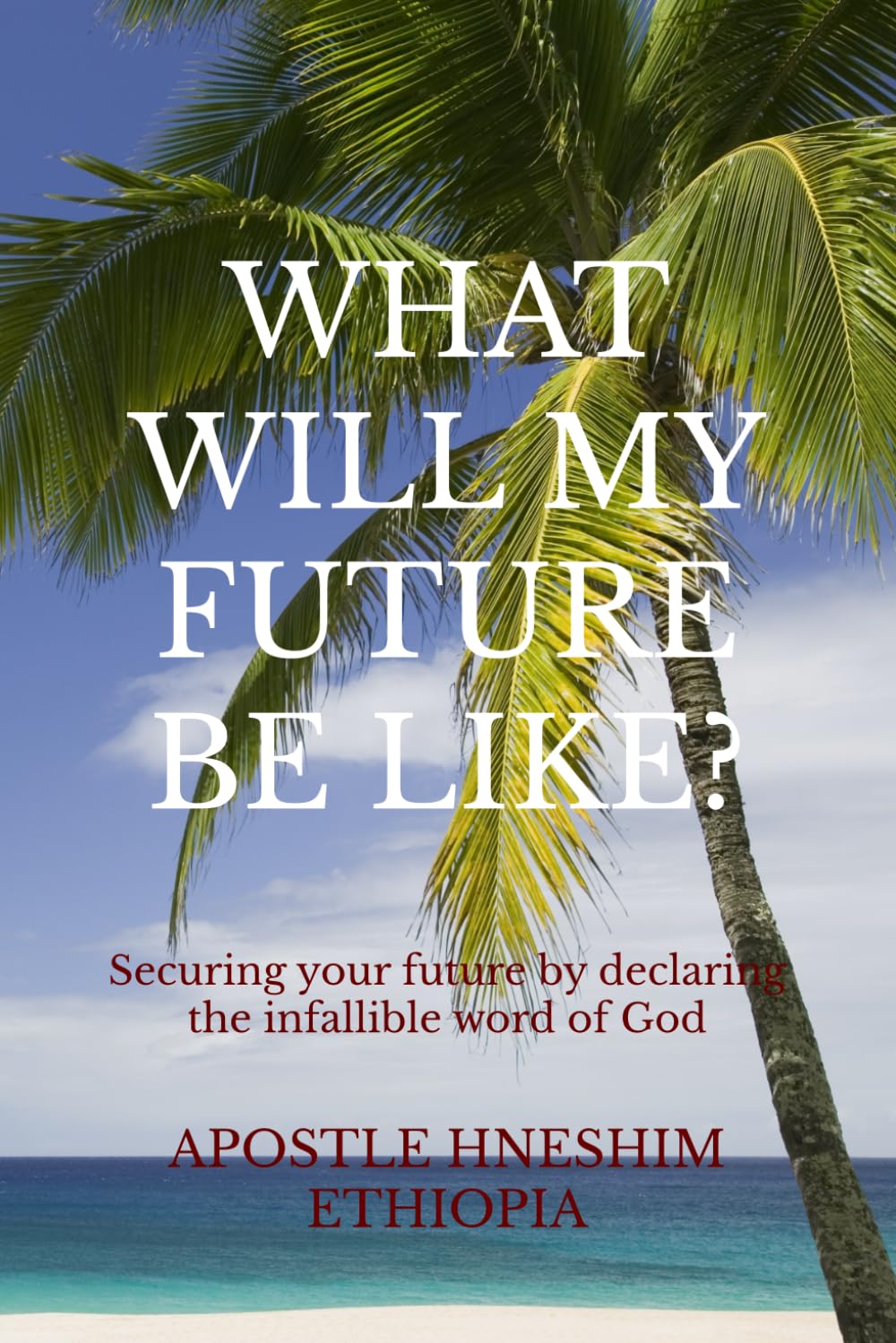 WHAT WILL MY FUTURE BE LIKE?: Securing your future by declaring the infallible word of God