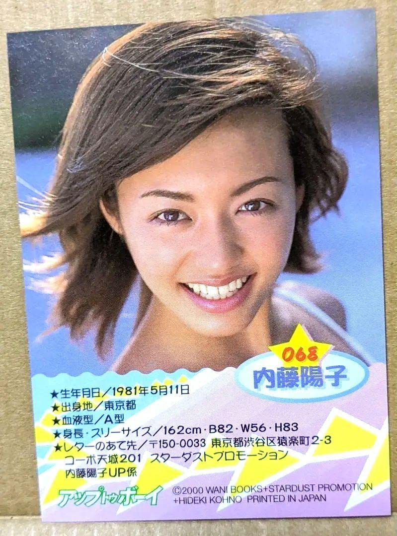 Amazon.co.jp: 内藤陽子 グラビア アイドル グラドル トレカ 付録
