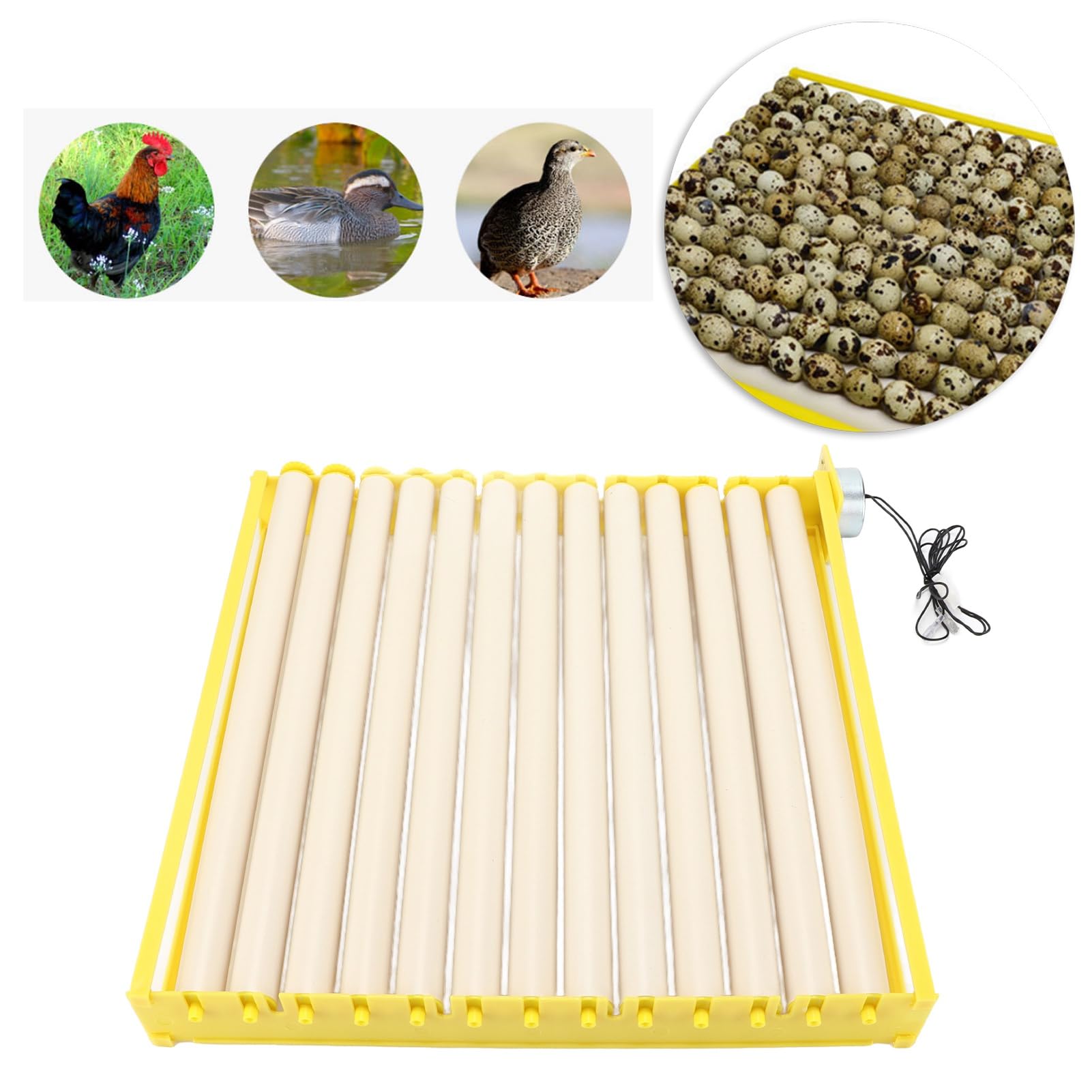 Vollautomatisches Eier-Inkubationstablett, Haushalts-Eier-Inkubator-Tablett für Hühner, Enten, Gänse, Wachteln (12V)