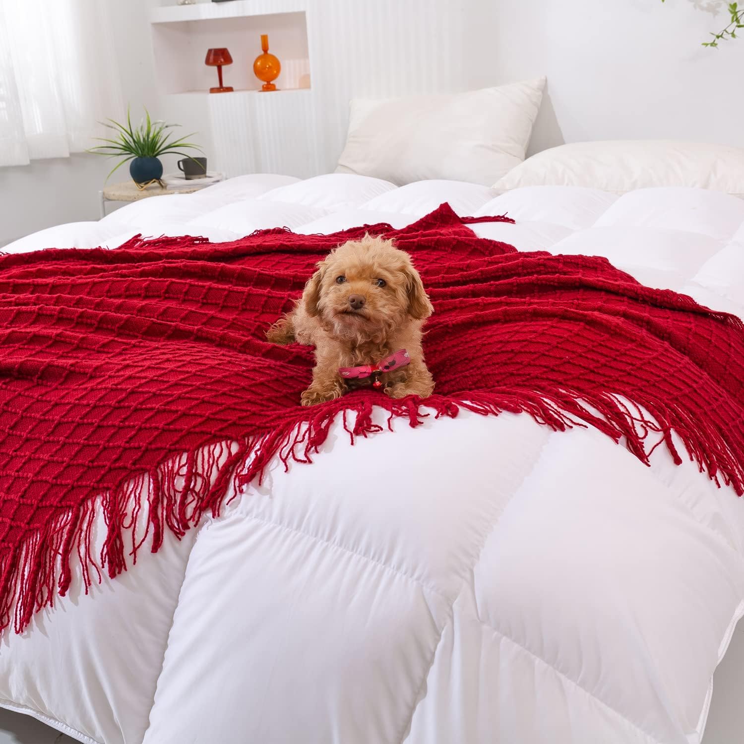 Throw Blanket for Couch,Soft Cozy Knit Blanket,Lightweight Decorative Throw for Sofa Chair Bed Travel and Living Room-All Seasons Suitable for Women,Men and Kids (Red, 50"x60") - Image 7