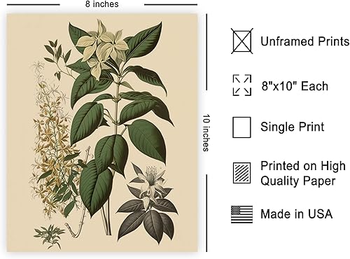 Miniatura 230 de Poster Master Póster vintage de orquídea, estampado de flores retro, arte de pared de plantas exóticas, arte botánico, regalo para hombres y