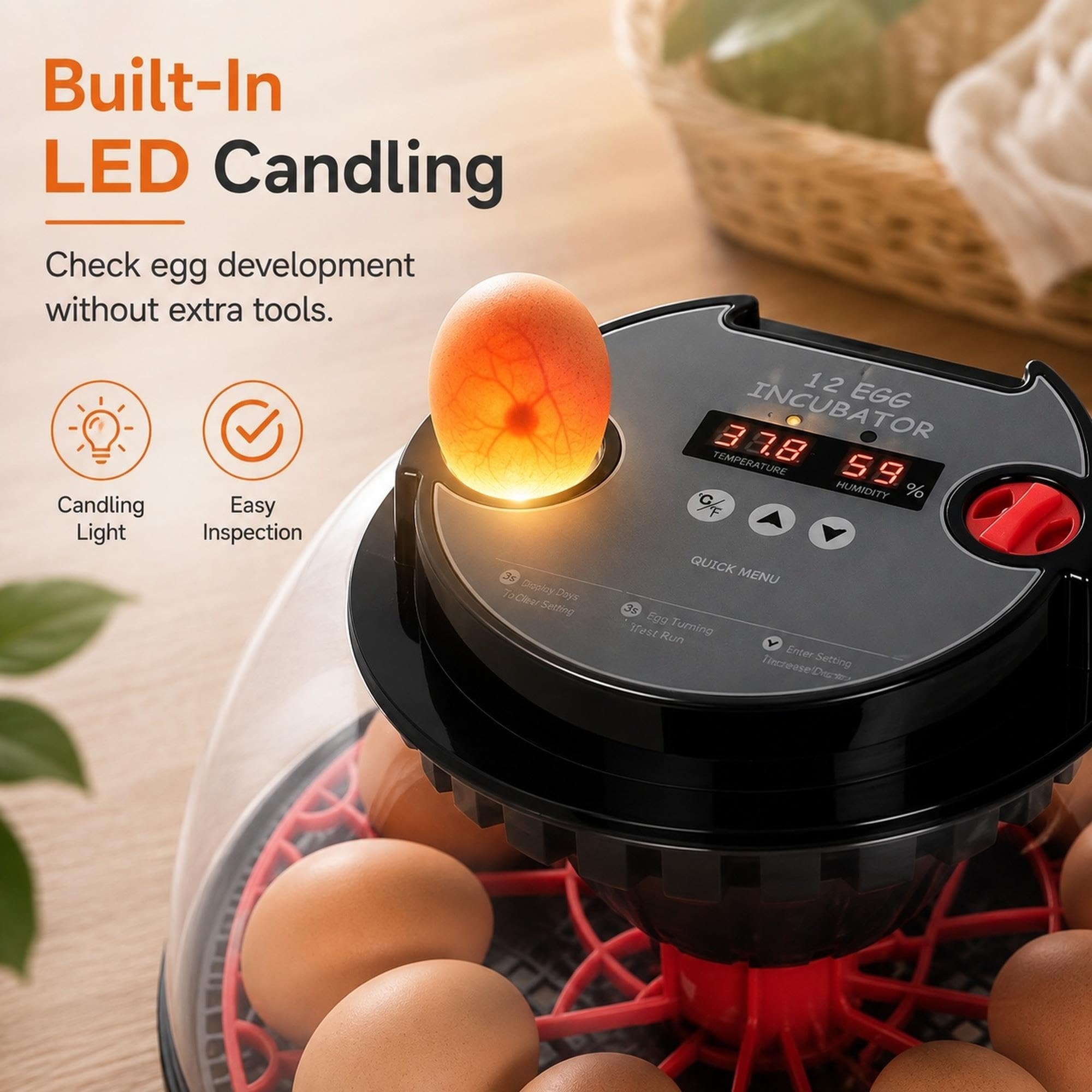 Incubatrice for 12 uova con rotazione automatica