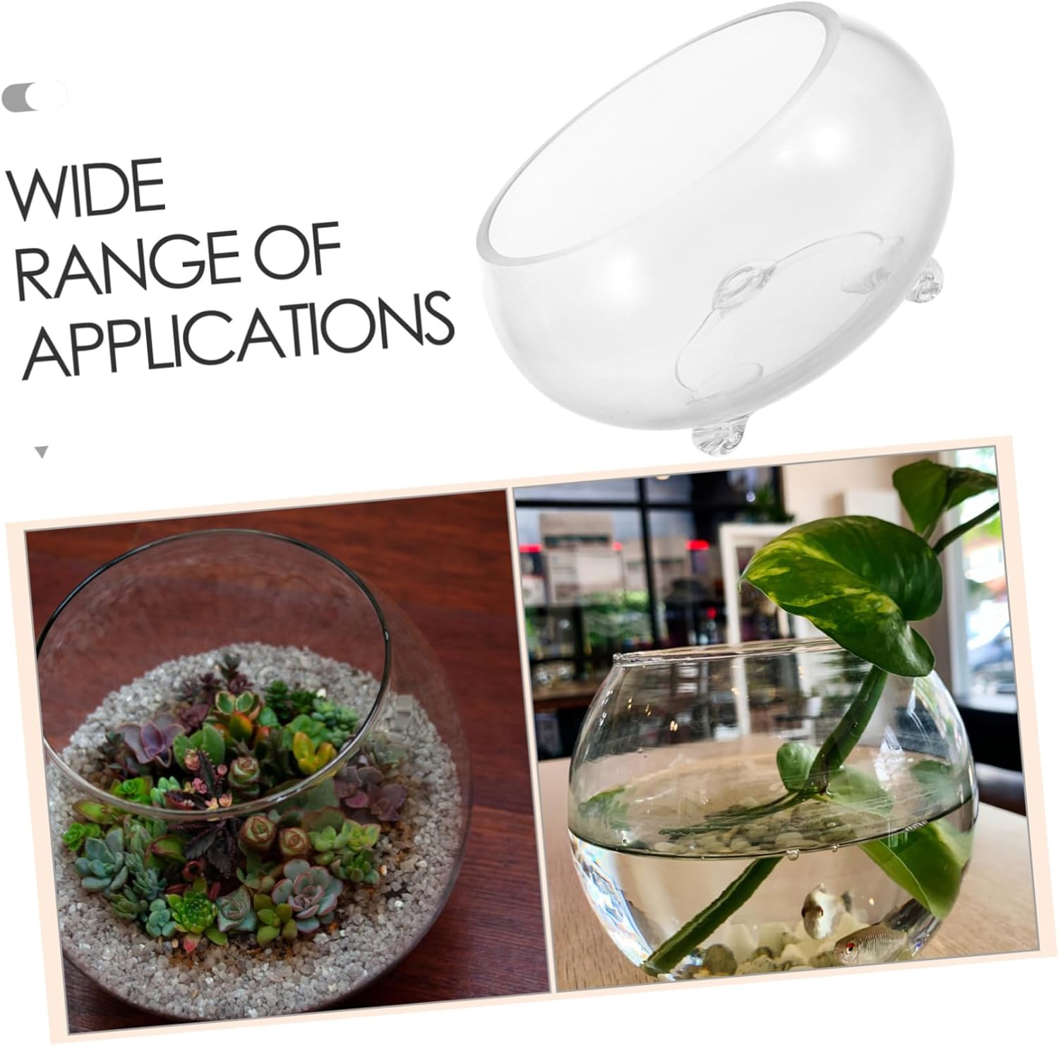 Fish Bowl Glass Terrarium Planter for Betta Fish and Aquatic Plants Unique Round Vase for Home Office Decor Easy Maintenance and Elegant Design