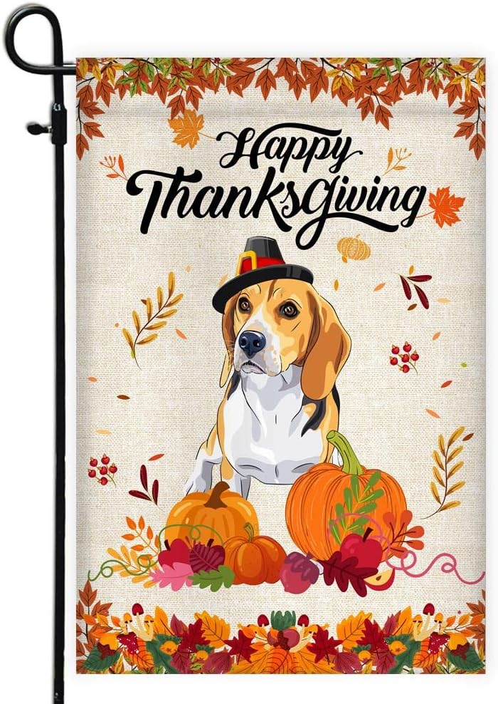 Happy Thanksgiving Funny Boston Terrier Flag Fall Pumpkin Farmhouse Autumn Thanksgiving (12" x 18") USA Garden Flag Premium Decorative Yard Outdoor Flags