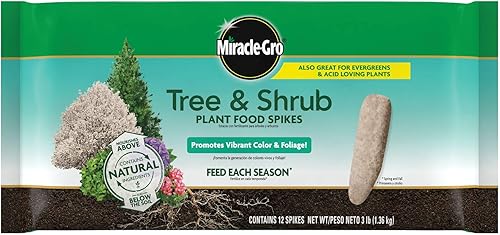 Miracle-Gro Puntas de alimento para plantas de árboles y arbustos, para árboles caducifolios, con flores y siempre verdes, 12 puntas