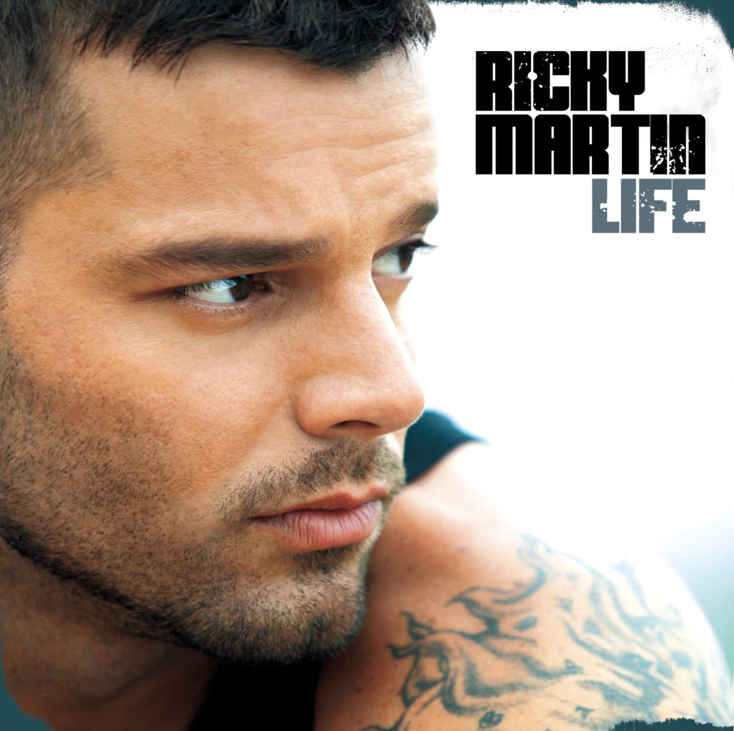 Life [Audio CD] Martin, Ricky