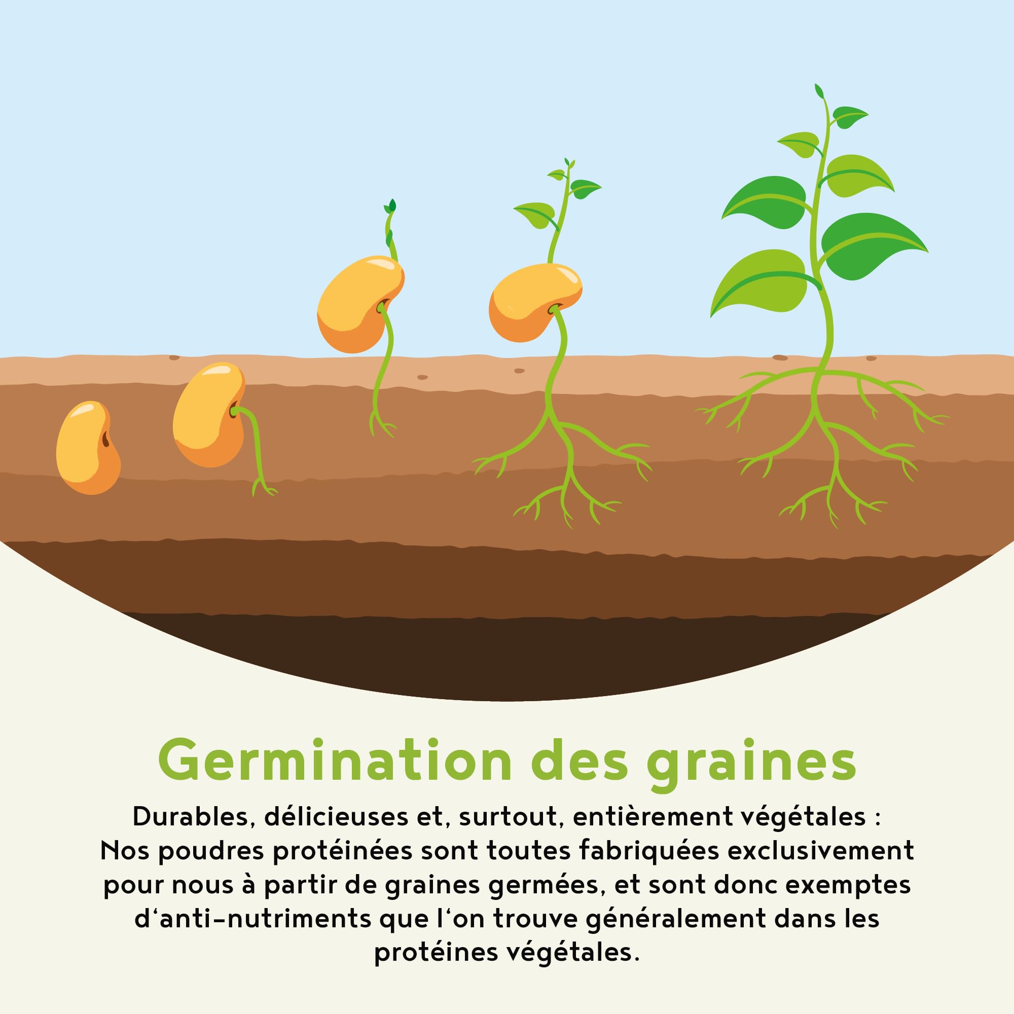 Morning Fuel | Mélange Vanille et Matcha pour le petit-déjeuner | Proteine vegetale de pois germés, quinoa, avoine, algues, alfalfa, épinards, maca, spiruline | vit. B6 + B12 | 600gr | Alpha Foods