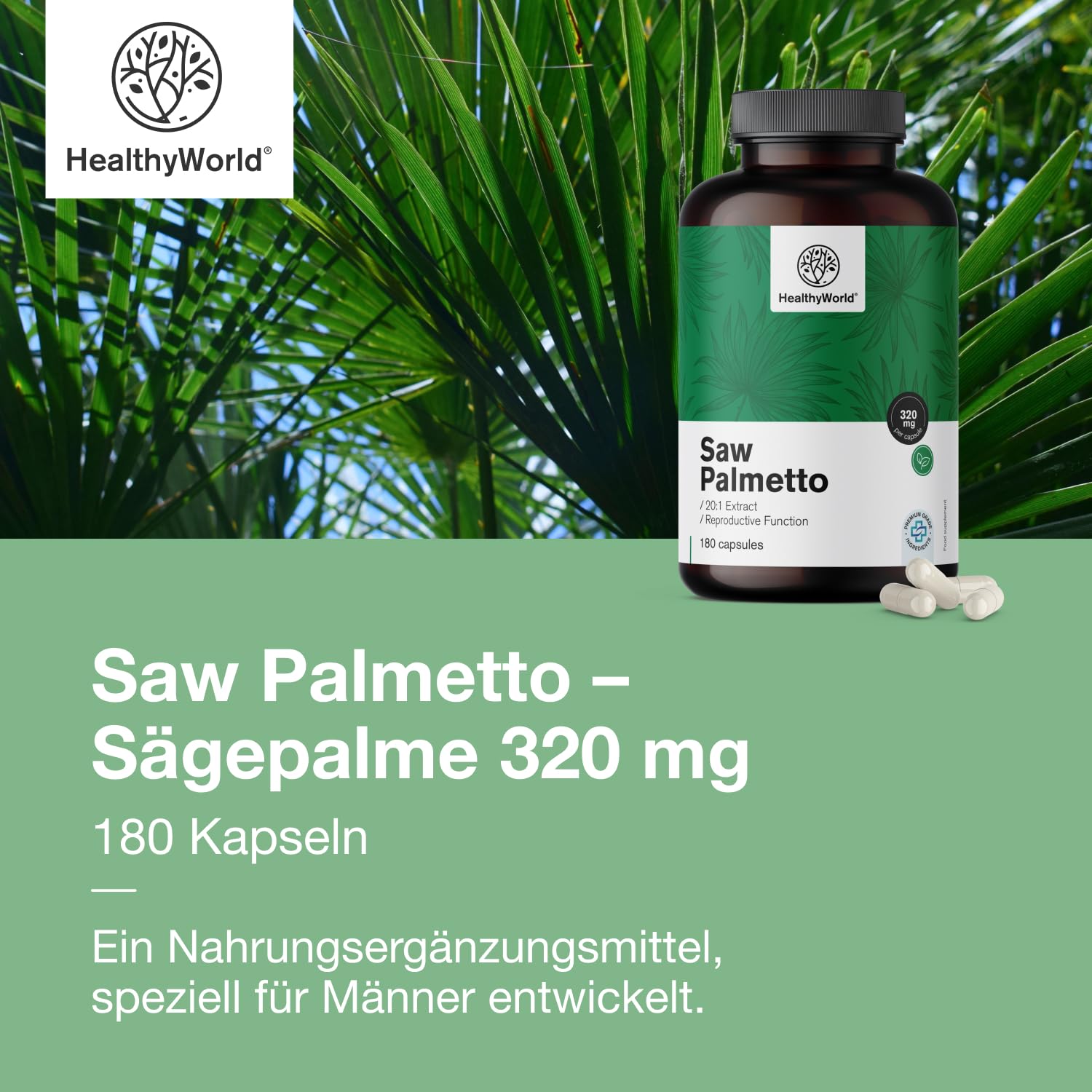 HealthyWorld Saw Palmetto – Sägepalme mit Zinkzusatz – 20:1 Extrakt – 180 pflanzliche Kapseln – Unterstützung für die Prostata – XXL-Packung – Für 6 Monate