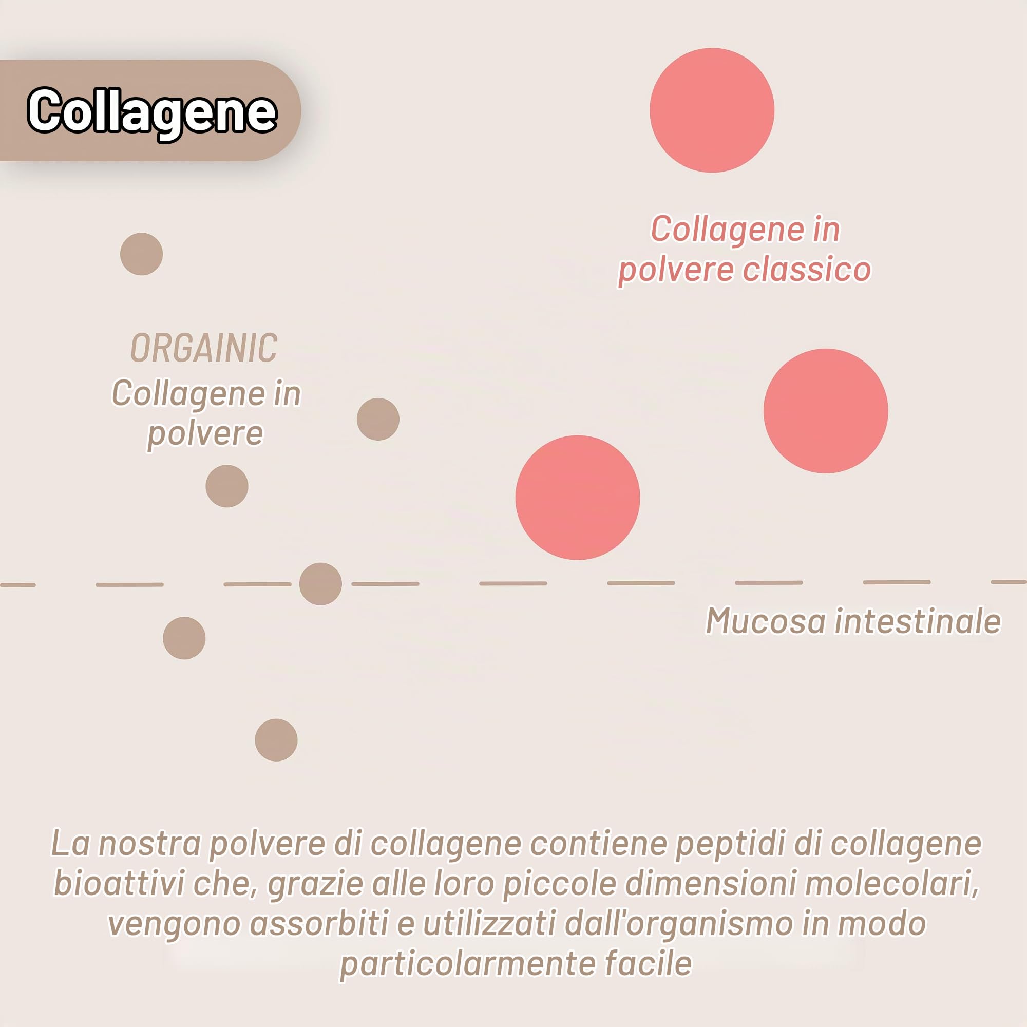 ORGAINIC Collagene in polvere (700 g), allevamento certificato, collagene in polvere, idrolizzato di collagene tipo 1 e 3, buona solubilità, collagene ad alto dosaggio