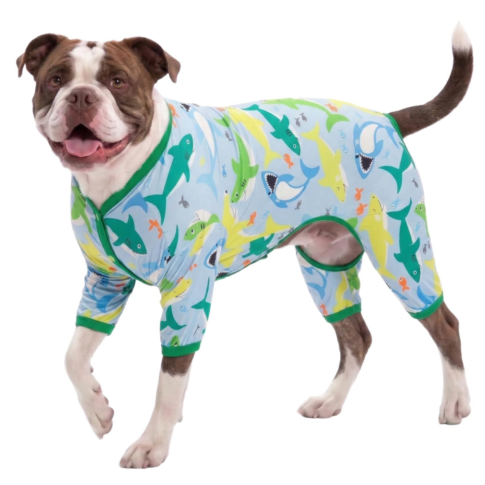 Amazon.com : LovinPet Surgical Recovery Shirt for Large Dogs
