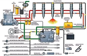 Amazon.com: PANGOLIN 095000-8902 8-98151837-1 Fuel Injector