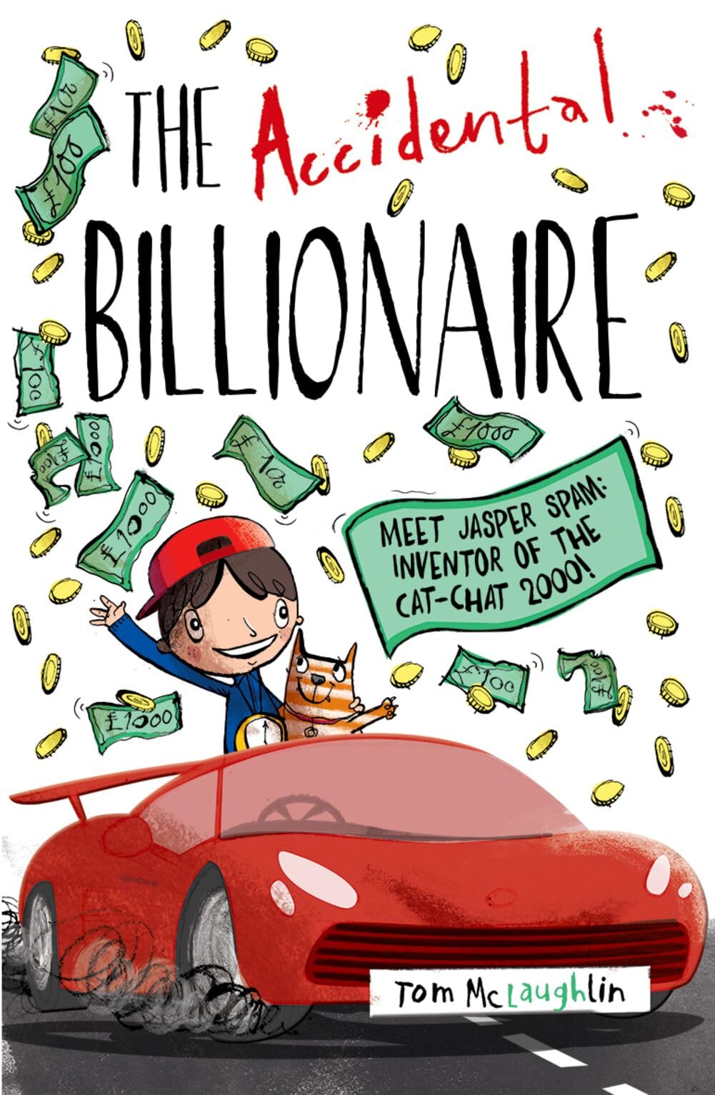 The Accidental Billionaire by Tom  McLaughlin (Paperback Book)