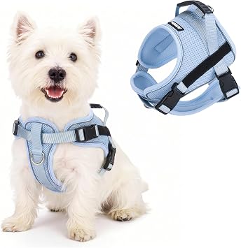 AIITLE No Pull Reflective Dog Harness with Handle - Soft Comfortable All Weather Mesh Breathable Adjustable Puppy Harness for Small Medium Dogs, Easy Control for Walking Running Camping Blue,S